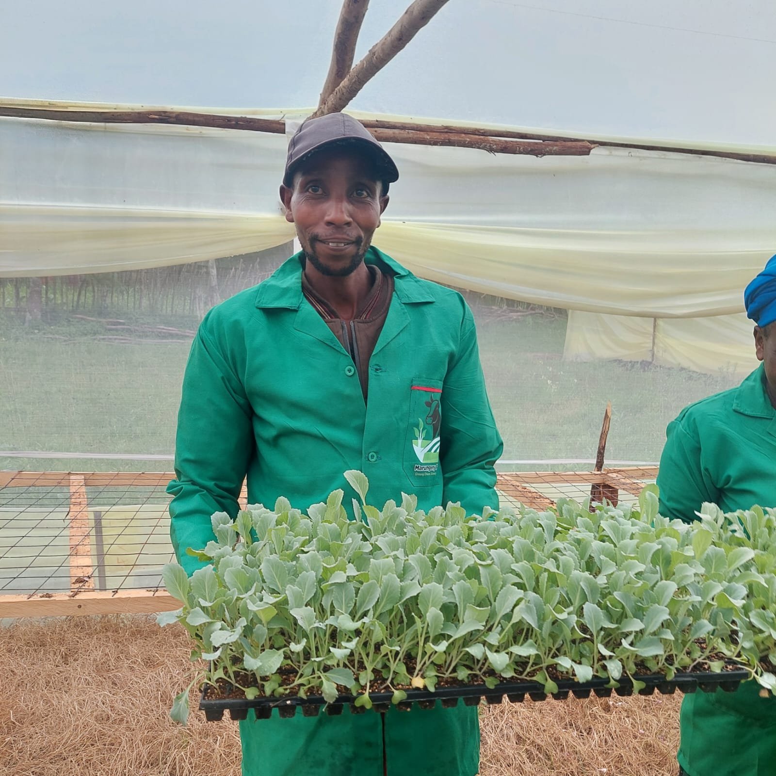 Nursery Supplies & Services